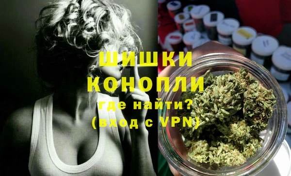 ешки Арсеньев