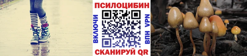 Псилоцибиновые грибы прущие грибы Цивильск