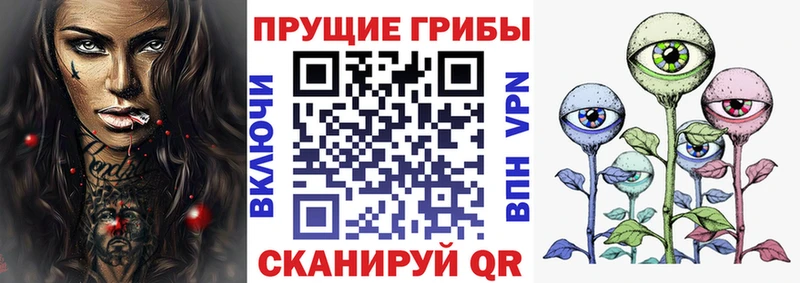 Псилоцибиновые грибы ЛСД  kraken сайт  Цивильск 